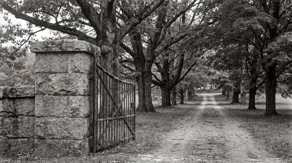 B&W stone gatepost with iron gate, leading to a tree-lined path.